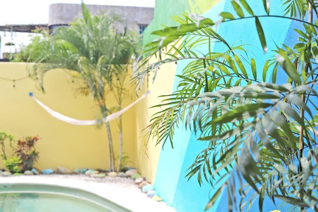 Studio -Trees At Mikasa- Near Beach, Pool, Fast Wifi, Ac & King Bed Puerto Escondido  Eksteriør billede